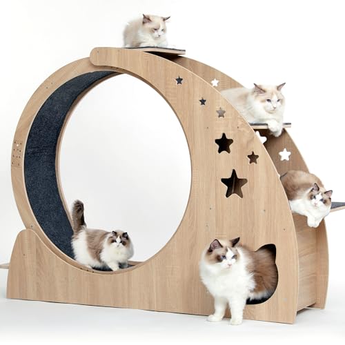 5-in-1-Katzenrad, Katzen-Laufrad, 105 cm hoch, große Katzenräder für Indoor-Katzen, Laufband für Indoor-Katzen, mit leisem Rad, Katzenlaufrad, Katzenmöbel, Katzenspielzeug von CYlively