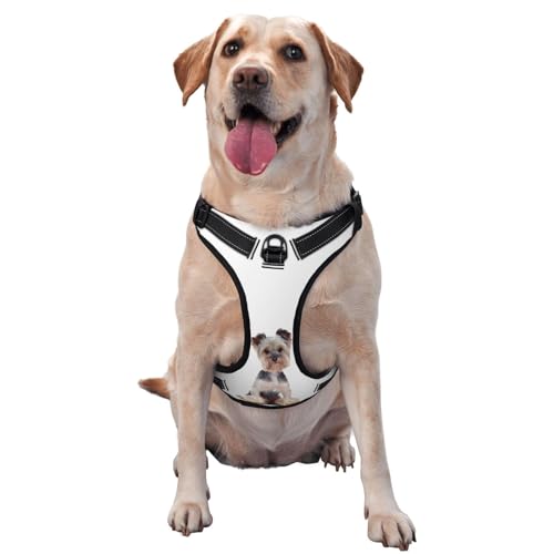 Hundegeschirr, atmungsaktiv und verstellbar, niedlich, sitzend, für große, mittelgroße und kleine Hunde, Grau von CZZYH