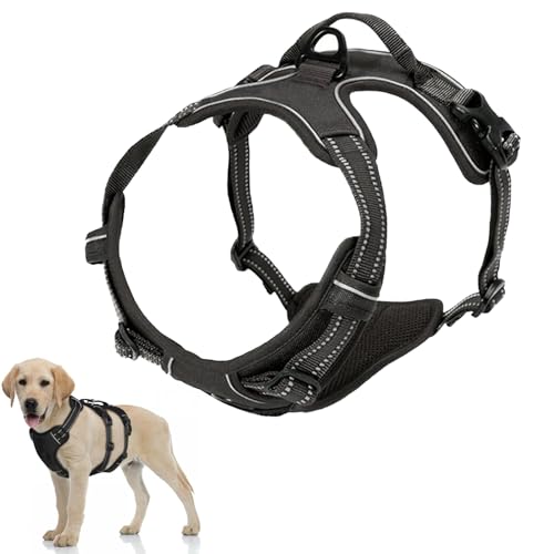 Verstellbar Hundegeschirr aus Mesh 56-69cm Hundegeschirr mit Reflektierend Streifen Atmungsaktiv Hunde Katzengeschirr Ausbruchsicheres Für Große,Mittlere,Kleine Hunde Zum Täglichen Spazierengehen von CZlinOduMMX