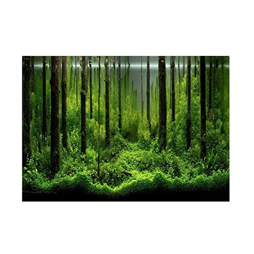 CaCaCook Aquarium-Hintergrundposter, Aquarium-Hintergrundposter, PVC-Kleber, Unterwasser-Waldtank-Hintergrundposter, Dekoration, Hintergrunddekorationspapier (122 x 46 cm) von CaCaCook