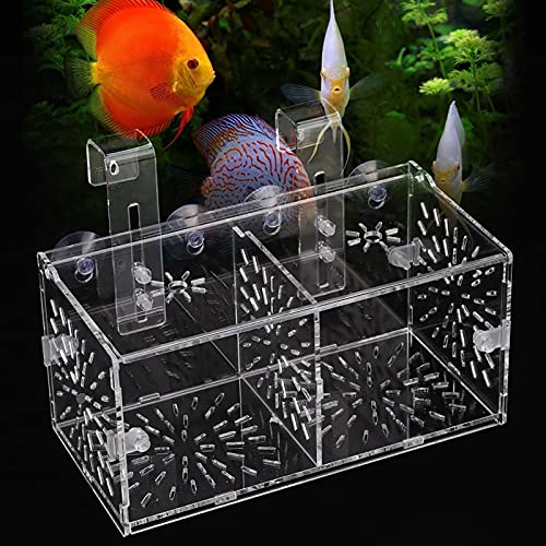 Isolierbox für Fische, transparent, Acryl, für Aquarium, Zucht, Inkubator-Halter (20 x 10 x 10 cm) von CaCaCook