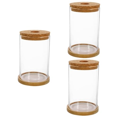 3 Sets Hydrokultur Vase Vase Glas Leere Flasche Terrarium Glasbehälter Ökosystem Terrarium Ökosystem Behälter Pflanzen Flasche DIY Pflanzen Behälter Glas Bambus Cabilock von Cabilock