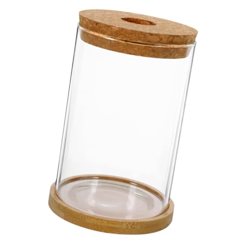 Cabilock 1 Satz Hydroponische Vase Links Blumenkübel Blumentöpfe Moos Terrarium Pflanzenbehälter Selber Machen Behälter Für Hydroponische Pflanzen Ökosystem Terrarium Pflanzenterrarium Glas von Cabilock