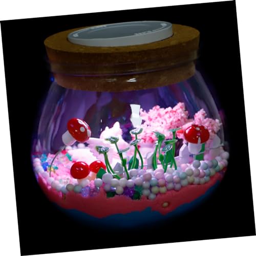 Cabilock 1 Set Einhorn Wunschflasche Wunschflasche Spiegellicht Kleine Wunschflasche Zum Basteln Unfertige Wunschflasche Terrarium Kleiner Tisch Wunschflasche Unvollendetes von Cabilock