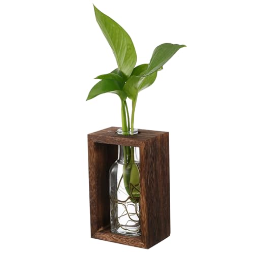 Cabilock 1 Set Pflanzen Terrarium Vase Pflanzen Terrarium Flasche Tischflasche Einzigartige Bürodekoration Vasen Für Blumen Glasflasche Hydrokultur Pflanzenbehälter Holz von Cabilock