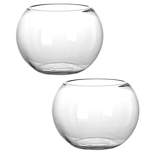 Cabilock Klarer Behälter 2 Glaspflanzer Terrarium Luftpflanze Pflanzer Microlandschaft Ökologische Flasche Hydrokulturpflanzer für Bürodekoration 15Cm Goldfish Bowl Glas Pflanzenvase von Cabilock