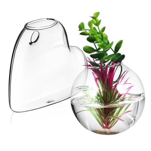 Cabilock 2 STK Glasvase Pflanzen Terrarium Glasvermehrungsstation Ausbreitung Wandbehang Wandpflanzgefäße Halter Für Wasserpflanzen Wandpflanzenhalter Glas Mit Hohem Borosilikatgehalt von Cabilock