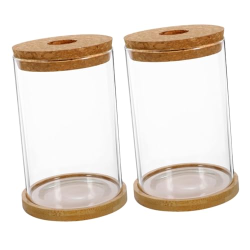 Cabilock 2 Sets Hydrokultur Vase Vase Terrarium Glas Moosflasche Mikro Landschaftsflasche Landschaftsbehälter Tischdekoration Dekorative Flasche Transparente Flasche Bambus von Cabilock