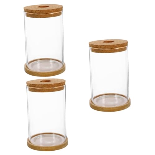 Cabilock 3 Sätze Hydroponische Vase Links Blumentöpfe Blumenkübel Leeres Terrarium Terrarienpflanzen Mikro-landschaftsbehälter Moos Ökologische Flasche Ökosystembehälter Einmachglas Bambus von Cabilock