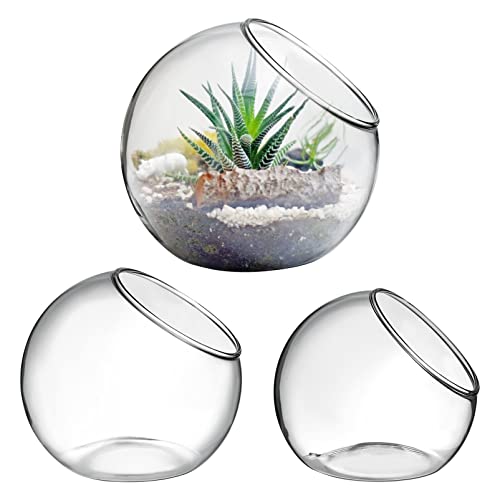 Cabilock 3 STK Blasenvase Terrarienvasen Terrarium Herzstück Tischpflanzer Blasenpflanzer Pflanzenständer Container Der Vermehrungsstation Tillandsien-Terrarium Klare Kaktus Fischblase Glas von Cabilock