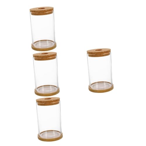 Cabilock 4 Sets Hydrokultur Vase Zimmerpflanzen Zubehör Pflanzenzubehör Zimmerpflanzen Halterung Outdoor Ornament Die Vase Vase Landschaft Behälter Terrarium Pflanzen von Cabilock