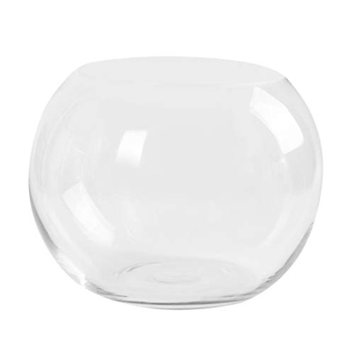 Cabilock Pflanze Terrarium Display Glas Tischplatte Sukkulente Luft Pflanze Pflanzer Globus Home Office Dekoration Hydroponik Pflanzenhalter (15Cm) von Cabilock