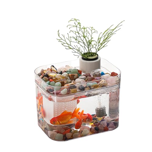 Cachpib Aquarium mit Deckel, kleines transparentes Aquarium mit USB-Luftpumpe, Fischzuchtbox, ökologische Aquarium-Tanks für Wohnzimmer, Zuhause, Büro, Schreibtischdekoration, 16 x 12 cm, vollständig von Cachpib