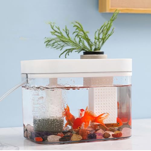 Cachpib Aquarium mit Deckel, kleines transparentes Aquarium mit USB-Luftpumpe, Fischzuchtbox, ökologische Aquarium-Tanks für Wohnzimmer, Zuhause, Büro, Schreibtischdekoration, 16 x 12 cm, weiße von Cachpib