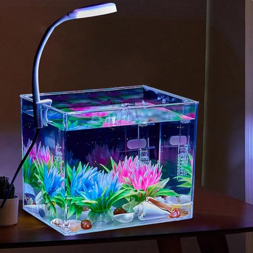 Cachpib Fischtank Kleines Aquarium, Aquariumbehälter mit Klemmlicht, Rutschfester Sockel, Aquarium-Starter-Kits, quadratisches Aquarium als Dekoration für Wohnzimmer und Büro, Large von Cachpib