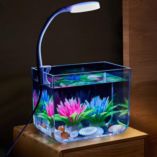 Cachpib Fischtank Kleines Aquarium, Aquariumbehälter mit Klemmlicht, Rutschfester Sockel, Aquarium-Starter-Kits, quadratisches Aquarium als Dekoration für Wohnzimmer und Büro, small von Cachpib