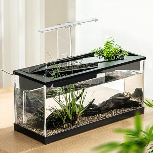 Cachpib Kleines Aquarium, Aquarium mit Wasserpumpe, transparente Abdeckung, ökologisches Zyklussystem, hochtransparentes Acryl, rechteckiges Aquarium für Wohnzimmer, mit integriertem Licht von Cachpib