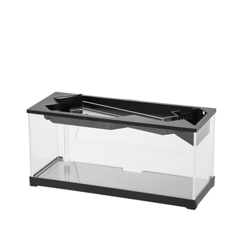 Cachpib Kleines Aquarium, Aquarium mit Wasserpumpe, transparente Abdeckung, ökologisches Zyklussystem, hohe Transparenz, Acryl, rechteckiges Aquarium für Wohnzimmer, ohne Licht von Cachpib