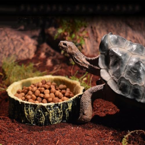 Cachpib Reptilienschale Reptilien-Wasserschale Futternapf, Schildkröten-Futterstation Futter- und Wasserplatte, Reptilien-Lebensraum-Tankzubehör, Amphibien-Futterschale für Schildkröten-Chamäleon, C von Cachpib