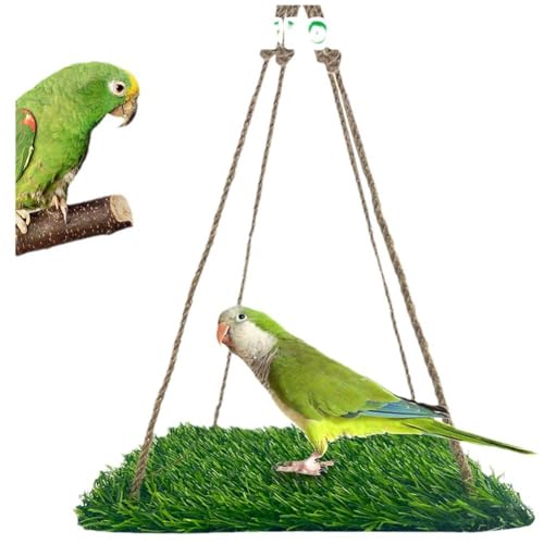 Cachpib Vogelschaukel für Sittiche, Vogelgrasschaukelmatte, Papageienkäfig Hängematte mit verstellbarem Seil, Haken und Grasmatte, Vogelfutterspielzeug für Lovebird Nymphensittiche Wellensittiche, von Cachpib