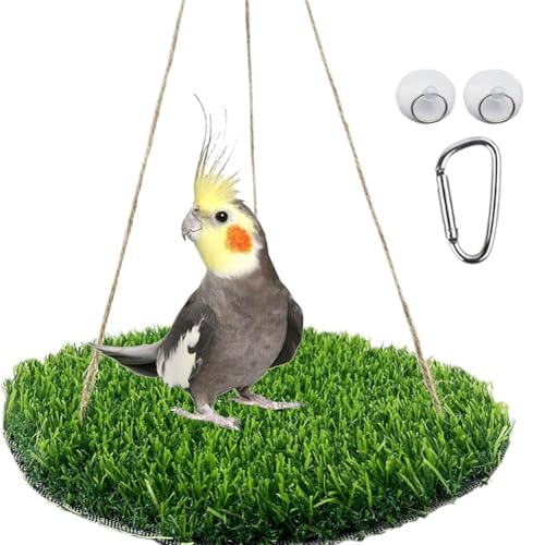 Cachpib Vogelschaukel für Sittiche, Vogelgrasschaukelmatte, Papageienkäfig Hängematte mit verstellbarem Seil, Haken und Grasmatte, Vogelfutterspielzeug für Lovebird Nymphensittiche Wellensittiche, von Cachpib