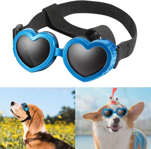 Hundebrille in Herzform, windabweisend, kleine Hunde-Sonnenbrille, stilvolle niedliche UV-Schutz-Sonnenbrille für Outdoor-Reiten und Spazierengehen (blau) von Caduola