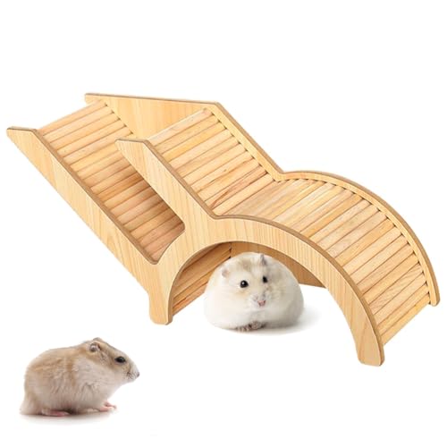 CaiYuanGJ Hamsterversteck Mit Treppe, Hamster-Kletterleiter, Hamsterhaus Treppe Spielzeug, Hamsterspielzeug, Landschaftsgestaltung für Haustiere, für Hamster, Goldbären, Sandratten Und Kleintiere von CaiYuanGJ