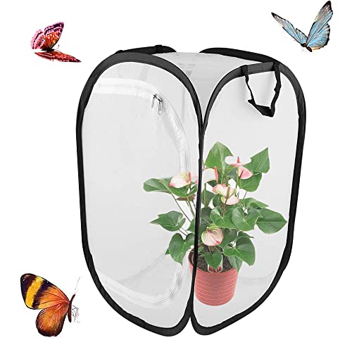 Schmetterling Habitat Käfig, Tragbarer Insekten Habitat Käfig, Insekten Habitat Käfig, Mesh Insekten Pflanze Käfig, für Schmetterling, Insektenhabitat, Sämlingszucht (40 * 40 * 60cm) von CaiYuanGJ