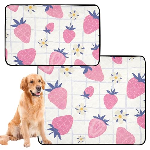 2er Pack Hundepinkmatte Pinkdecken Waschbare Rutschfeste Bodenmatte Outdoor 61 x 91 cm + 91 x 106 cm pfirsichbeere Büffel von Caihoyu