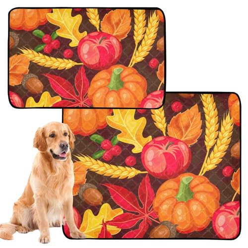 3er Pack Katzenmatte Haustier schlamm Hundematten groß abwaschbar Bodenmatte 50 x 61 cm Thanksgiving gelb Herbst von Caihoyu