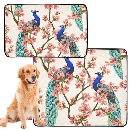 Hunde-Teppich, Hundetablett, rutschhemmende Hundematte für Sofa, 50 x 61 cm, schönes Design, Pfau, Vogel, tropisch, 3 Stück von Caihoyu