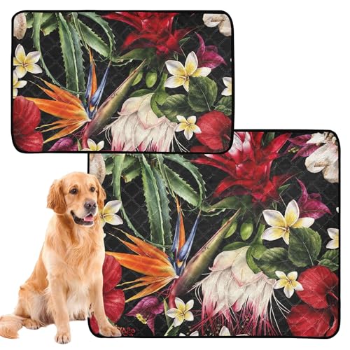 Hundematte für Hundefutter, waschbar, rutschfest, Bodenmatte für Auto und Flugzeug, 50,8 x 61 cm, Blumenmuster, tropische Blumen, Aquarell, 3 Stück von Caihoyu