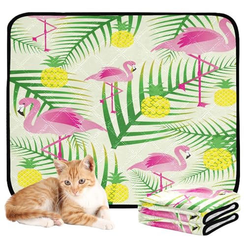 Katzen-Haustier-Matte, für Boden, Hund, rutschfest, für Boden, 61 x 91,4 cm + 91,4 x 106,7 cm, tropischer Flamingo, Hoffnungsblatt, Ananas, tropisches Hawaii, 2 Stück von Caihoyu