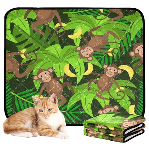 Wasserabsorbierende Matte für Hundenapf, Katze, Urinierunterlagen für Boden, rutschfester Teppich für Sofa, 50,8 x 61 cm, Affe, Bananen, Palmblätter, 3 Stück von Caihoyu