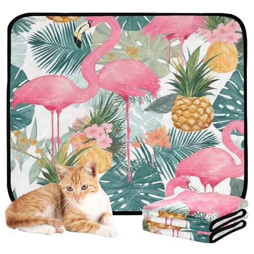 Wasserabsorbierende Matte für Hundenapf, waschbar, rutschfest, für Strand, 50,8 x 61 cm, Flamingo, Ananas und Pflanzentiere, 3 Stück von Caihoyu