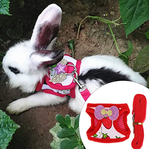 Pet Supplies Pet Leash, Bunny Walking Lead, Meerschweinchenhamster für Kaninchen(L) von Caiqinlen