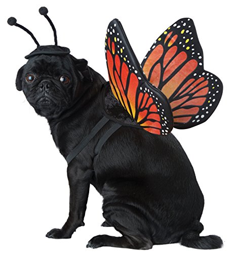 California Costume-pet20164 Monarch Butterfly-Kostüm, Medium von California Costumes