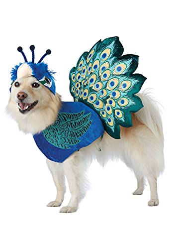 California Costumes Collections PET20165 Pretty As A Peacock Dog Costume, Small von California Costumes