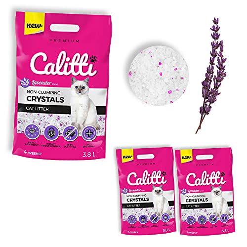 Calitti - Silikat Katzenstreu | Premium Crystals Silikatstreu | Antibakteriell Katzensand mit frischem Lavendelduft | 2-er Set 2 x 3,8 L = 7,6 L von Calitti