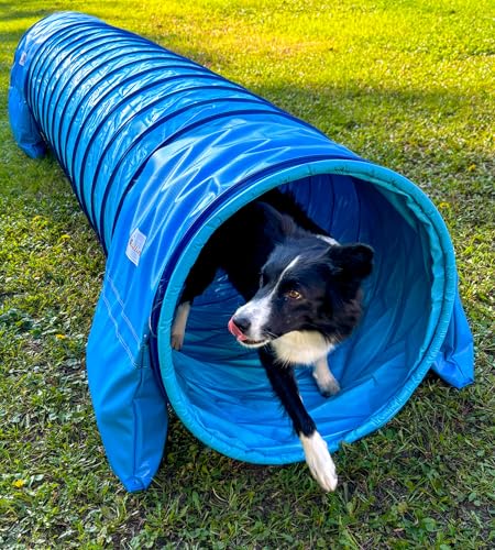 Callieway® Dog Agility Tunnel Profi Hunde Tunnel Agility Gerät (Stützsandsäcke bereits inklusive) (Himmelblau-Cyan, 3m) von Callieway