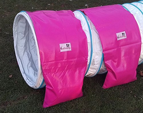 Callieway Agility Tunnel Stützsandsäcke (2er Pack) Standard - org (Magenta 2X) von Callieway