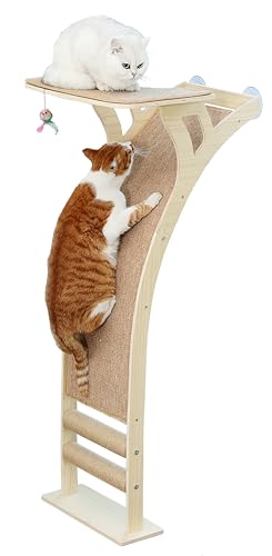 Katzen-Fensterstange mit Kratzrampe, Kletterbaum, Saugnäpfe bis zu 20,4 kg, Holz-Fensterregal für kleine, mittelgroße Indoor-Katzen von Caloreduce