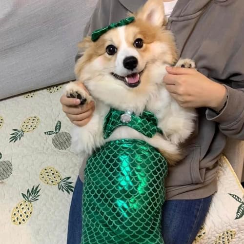 Cat Mermaid Costume, Mermaid Tail for Cats, Cat Mermaid Tail for Cats, Mermaid Costume for A Small Dog Or Cat, Cat Mermaid Fishtail Decoration Clothes, Creative Funny Photo Props (Green, L(5KG-10KG)) von Camic