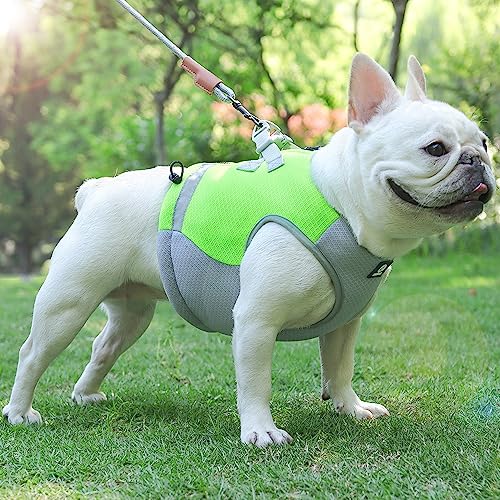 Camiraft Hundekühlweste Atmungsaktives Mesh Hundejacke Sommer Cooler,Verstellbare kühlende Hundejacke Reflektierendem Streifen für Aktivitäten Draußen Wandern Training，Grün L von Camiraft