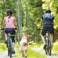 Walky-Dog Plus, die 3. Hand am Fahrrad von Camon S.p.A.