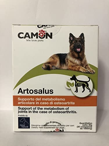 Camon Artosalus G876/A, Packung mit 30 Tabletten von Camon