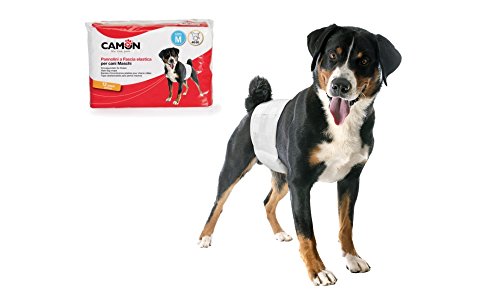 Camon Einwegwindeln mit elastischem Band für männliche Hunde Größe M Durchmesser 46/60 cm 12 Stück von Camon