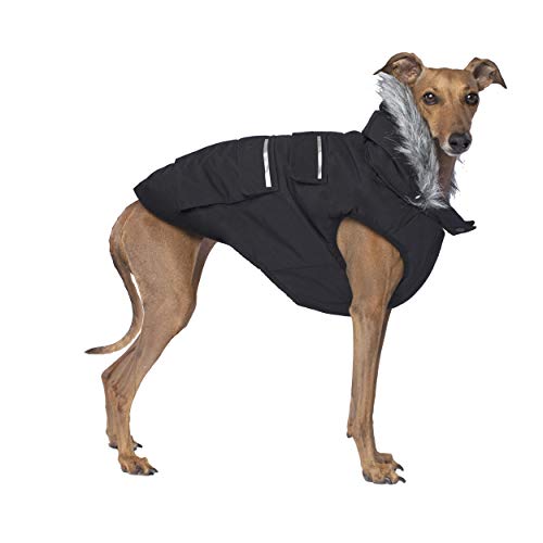 Canada Pooch Everest Explorer Hundejacke, mit Kapuze, für den Winter, Schwarz, 46 (43,2–48,3 cm Rückenlänge) von Canada Pooch