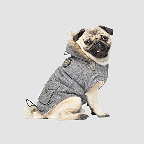 Canada Pooch Hundemantel, Alaskan Army Parka, Winterparka für Hunde, Kastanienbraun, Größe 12 von Canada Pooch