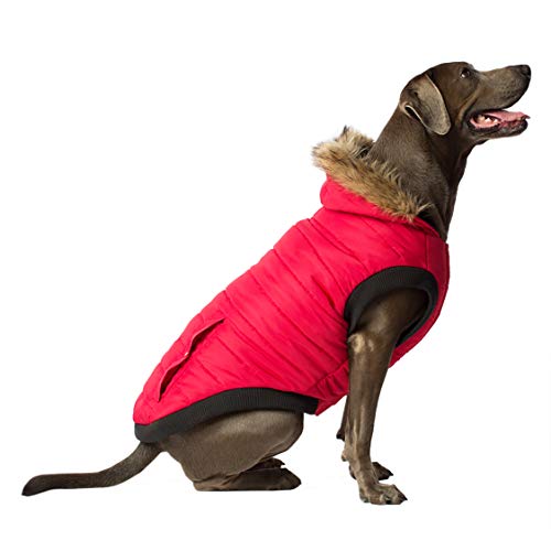 Canada Pooch Hundemantel, Nordpol Parka, Winterjacke für Hunde, Rot, Größe 18 von Canada Pooch